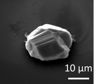 Indium microbumps