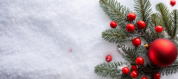 Happy Holidays from Technic