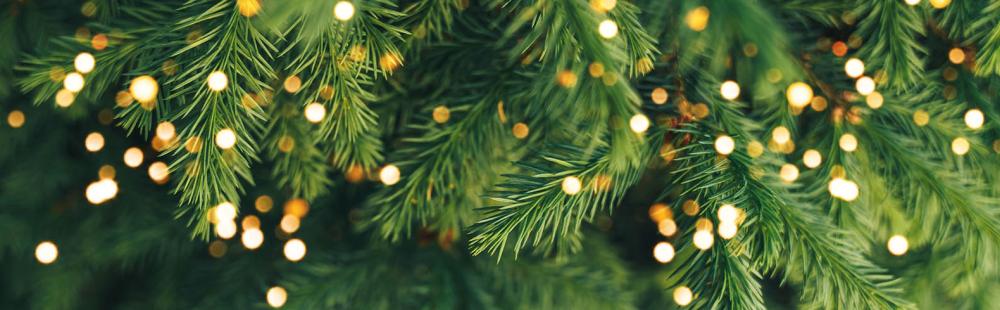 Happy Holidays from all of us at Technic