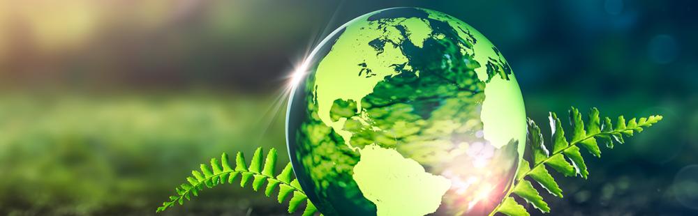 Technic Eco Products - Glass World Globe