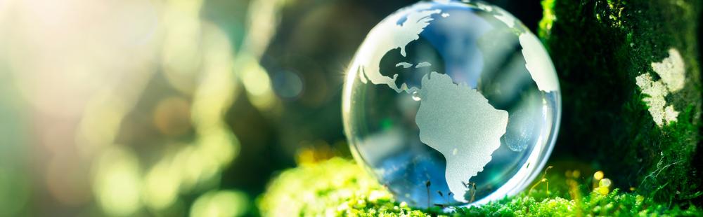 Technic Eco Products - Glass World Globe